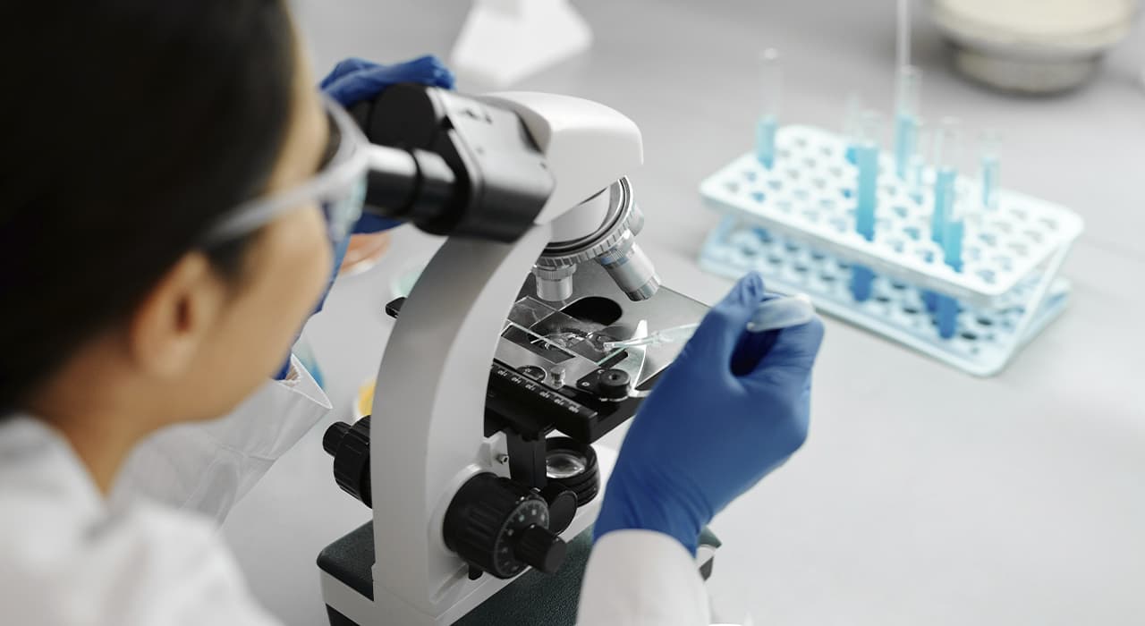 Lab
